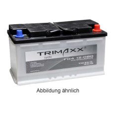 Blockbatterie Trimaxx F04  12V 100 Ah