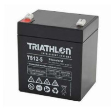 TS Standard Batterien 12V 4,8Ah (C10)