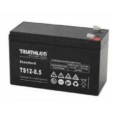TS Standard Batterien 12V  8,1Ah (C10)